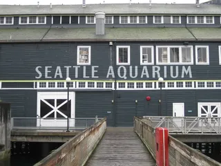 现代建筑,金属栏杆,居民楼,房顶,门,西雅图水族馆