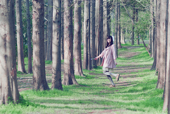 松林,生态林,白桦,桦树林,油画,跳跃的小兔子