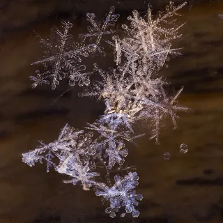雪花。 雪花。
