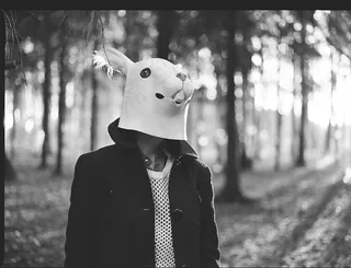 屏幕截图,银杏林,合照,美女,情侣,再次兔子