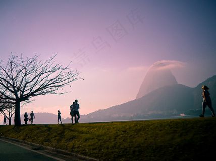天空,树,海洋,风景,早上散步