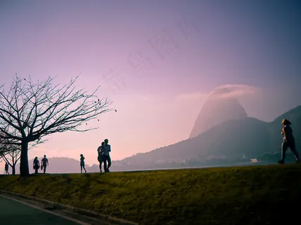 天空,树,海洋,风景,早上散步 天空,树,海洋,风景,早上散步
