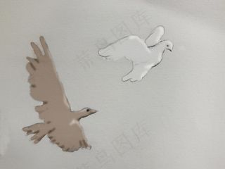 和平鸽,白鸽子,吸顶灯,图画,卡通动漫人物,鹰鸽