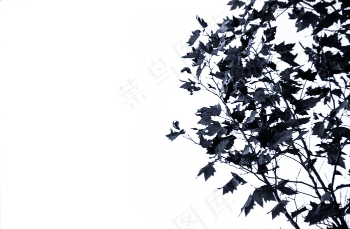 细微差异和关键关头