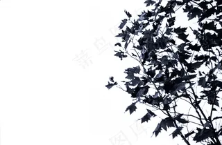 细微差异和关键关头