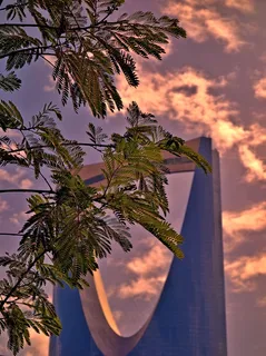 梅尔·吉布森,椰子树,美人松,海枣,椰树,沙特建筑