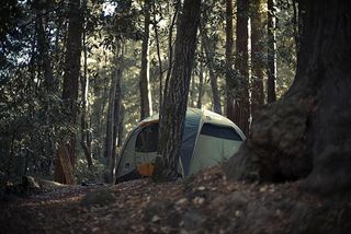 生态林,松林,帐篷,雪树银花,轿车,露营