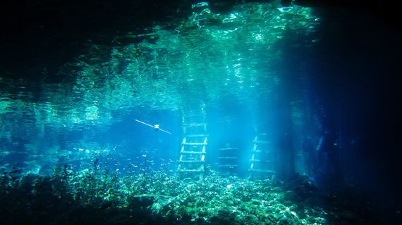 书房,厨房,经理室,橱柜,现代办公,树,海洋,北极光,电视屏幕,模糊图片,退出游泳者闲逛的地方