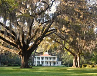 西北佛罗里达州的伊甸园国家公园