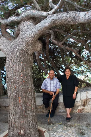 树荫下的老夫妻/老夫妻àl 'ombre d 'un arbre