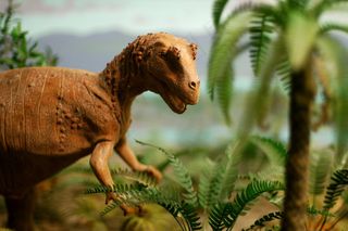 恐龙模型,动物模型玩具,恐龙,动物漫画,玩具,恐龙