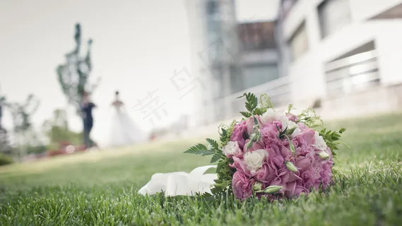 花卉,婚礼,荷花,工笔画,树,婚礼 花卉,婚礼,荷花,工笔画,树,婚礼