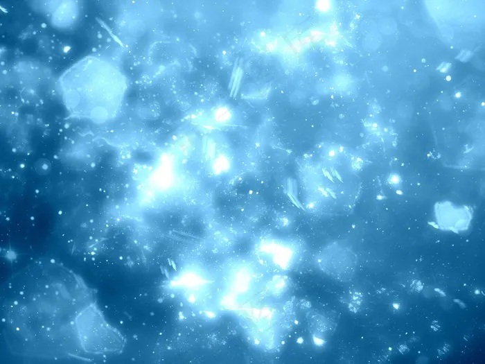 其中谎言奇迹浅蓝色