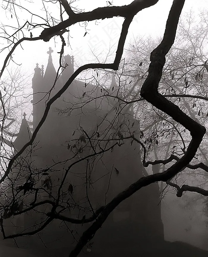 辛辛那提-斯普林格罗夫公墓和植物园“雾蒙蒙的陵墓”