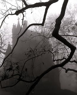 辛辛那提-斯普林格罗夫公墓和植物园“雾蒙蒙的陵墓”