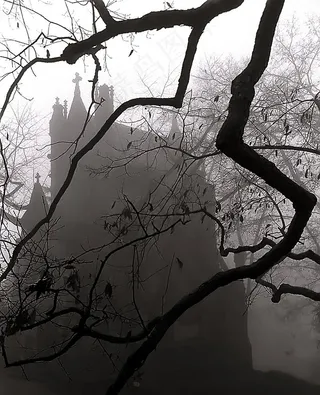 辛辛那提-斯普林格罗夫公墓和植物园“雾蒙蒙的陵墓”