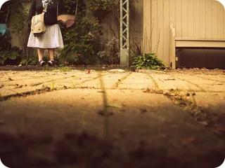 019/365-这么久，晚安