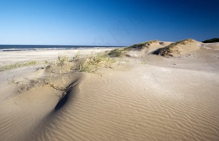 沙漠,海洋,鸟类,小狗,,圣克莱门特：沙丘海滩02