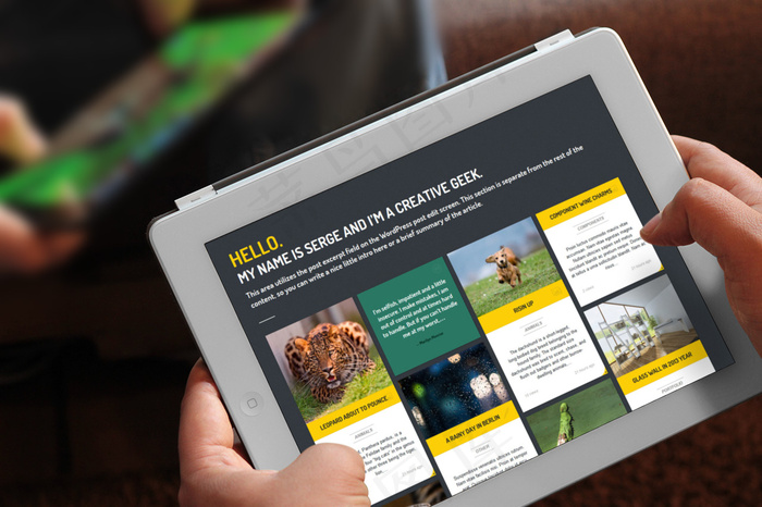 条纹-响应式WordPress主题-平板电脑2