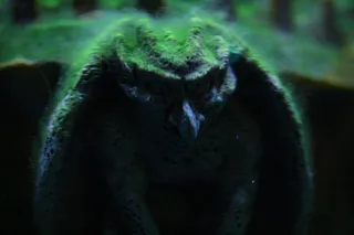 石像鬼在马尔皇帝城堡