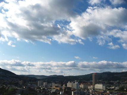 天空,白云,云团,风景,树,规则形状云