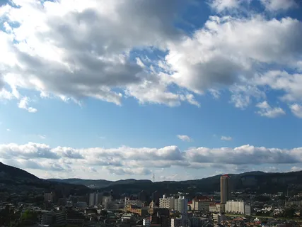 天空,白云,云团,风景,树,规则形状云