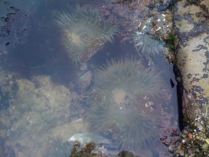 水晶湾