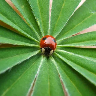 当小事很重要时....