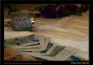 屏幕截图,巴西龟,电视机,,塔罗牌哥特式酒杯