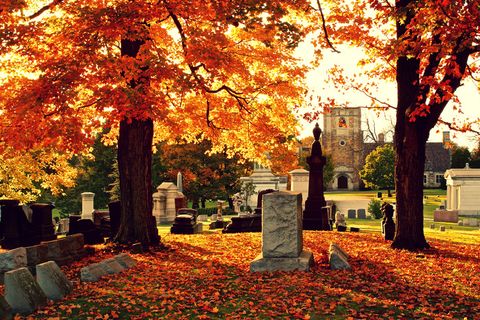 霍姆伍德的秋天