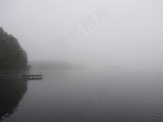 浓雾,树,天空,头发,大雾,有雾的早晨