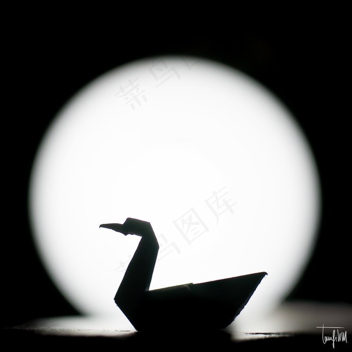 黑天鹅