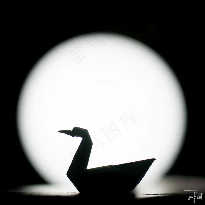 黑天鹅