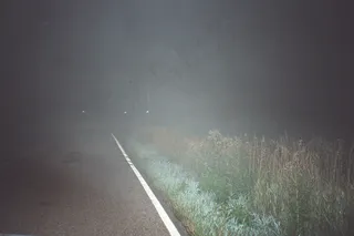 令人毛骨悚然的雾