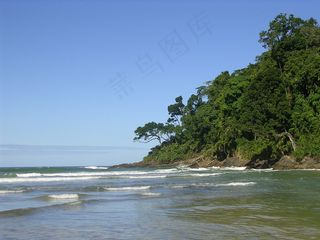 Jeribucaçu海滩的大西洋森林-巴西伊塔卡雷