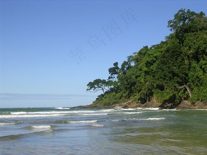 Jeribucaçu海滩的大西洋森林-巴西伊塔卡雷 Jeribucaçu海滩的大西洋森林-巴西伊塔卡雷