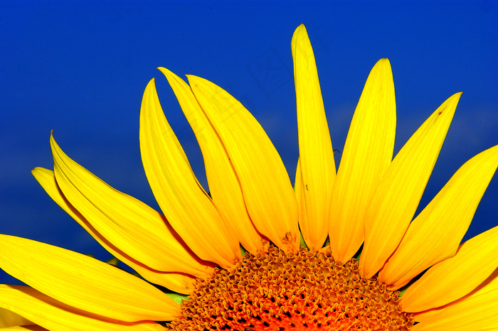 Un po 'di colore ...