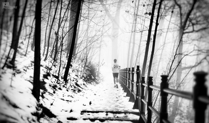 冰雪,钢笔画,树,生态林,白桦,冬季跑步