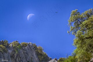 月夜,壁纸,山峦,山桃花,电线/电缆,La Luna y El Buitre