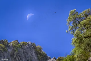 月夜,壁纸,山峦,山桃花,电线/电缆,La Luna y El Buitre