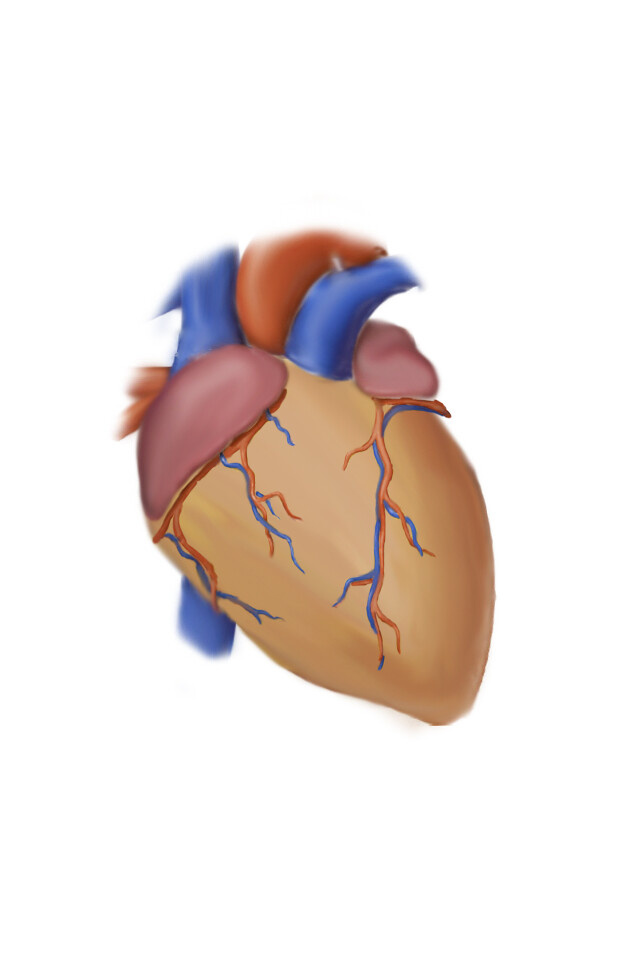 Corazon