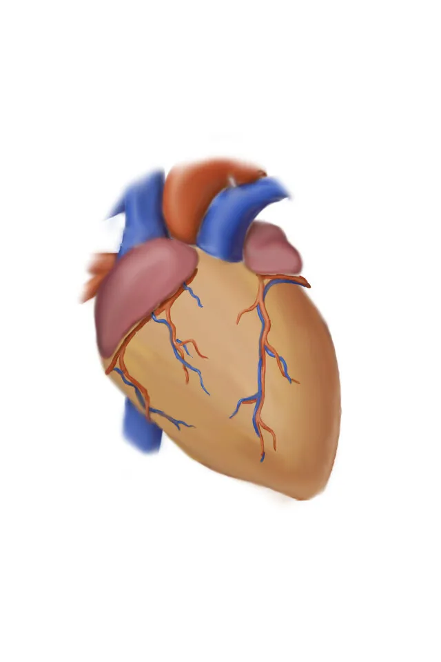 Corazon