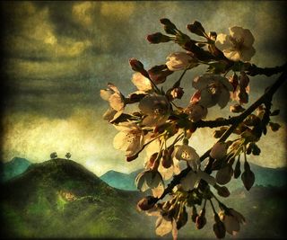 ..在我睡过的山麓度过了一个春夜，我梦dream以求的内心深处绽放着.....