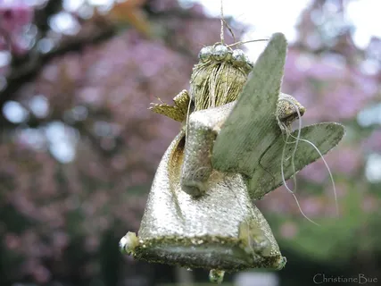 樱桃天使 樱桃天使