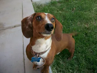 嘿，我能看见我自己