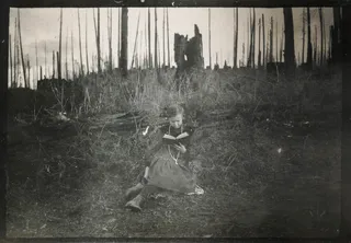 在烧毁的森林里读书的小女孩