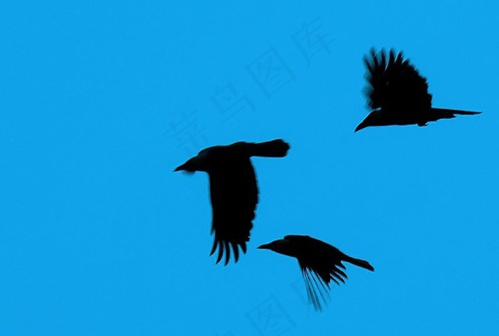 飞行很有趣，但是需要努力。