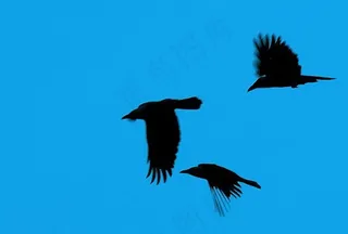 飞行很有趣，但是需要努力。