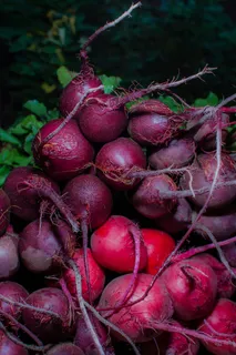 甜菜,甜菜根,萝卜,荔枝,洋葱,甜菜[262/366]