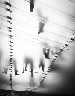 吸顶灯,简历封面,灯,会议,室内一角,悉尼苹果商店 吸顶灯,简历封面,灯,会议,室内一角,悉尼苹果商店